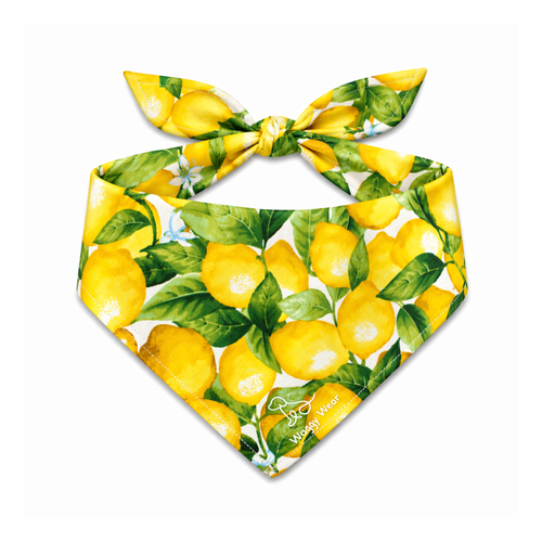Zesty Pup – Tie-On Dog Bandana