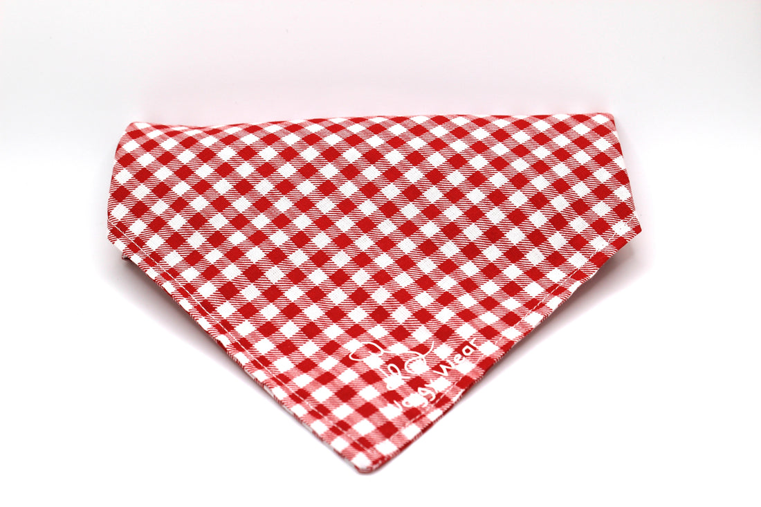 Classic Ketchup – Tie-On Dog Bandana - Dreamy Tea