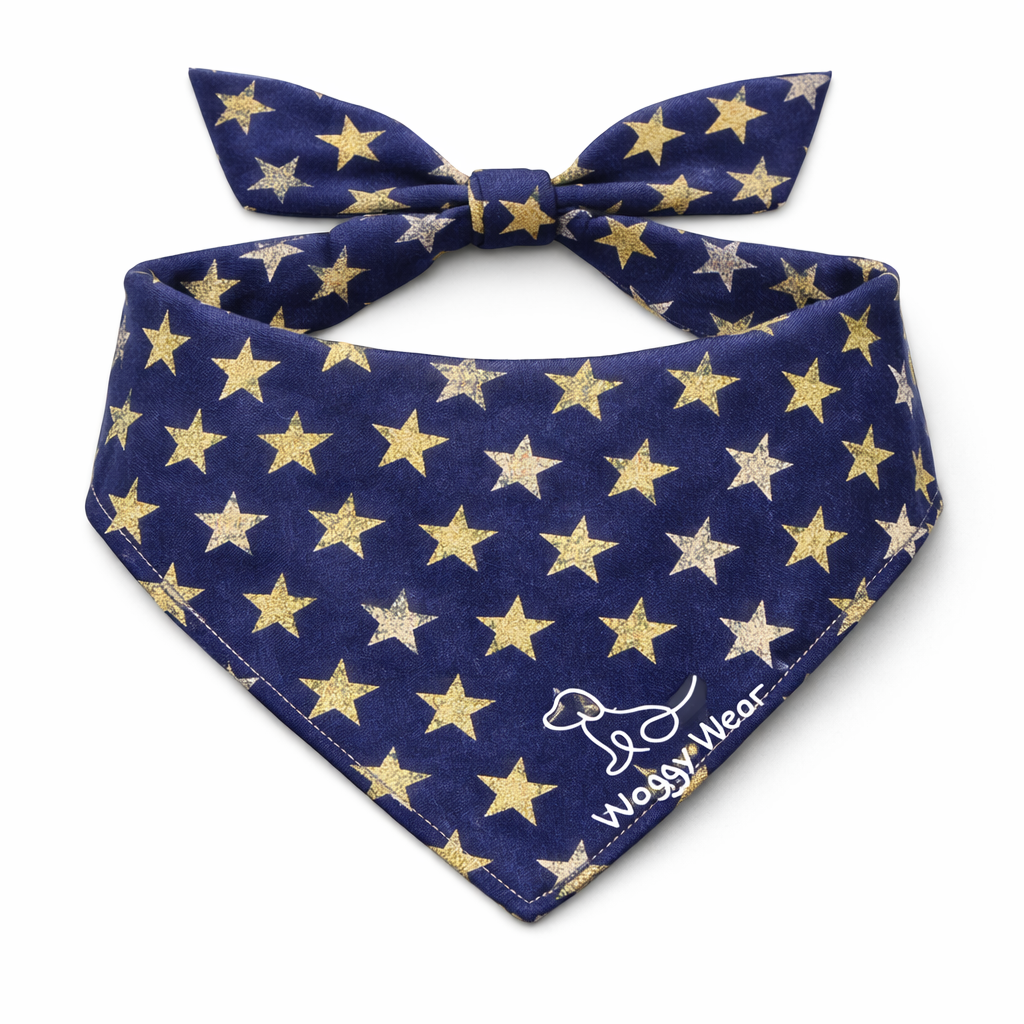 Best Gifts for Dog Lovers