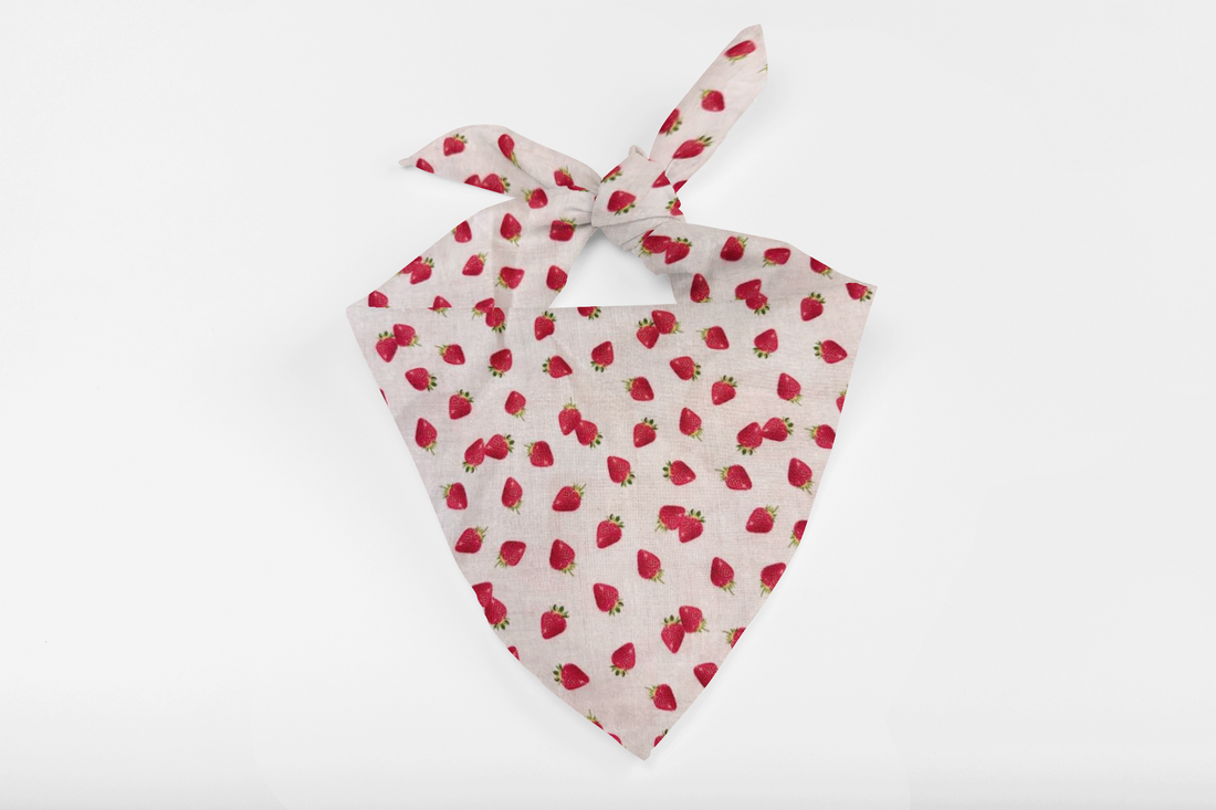 Strawberry Delight – Tie-On Dog Bandana - Dreamy Tea
