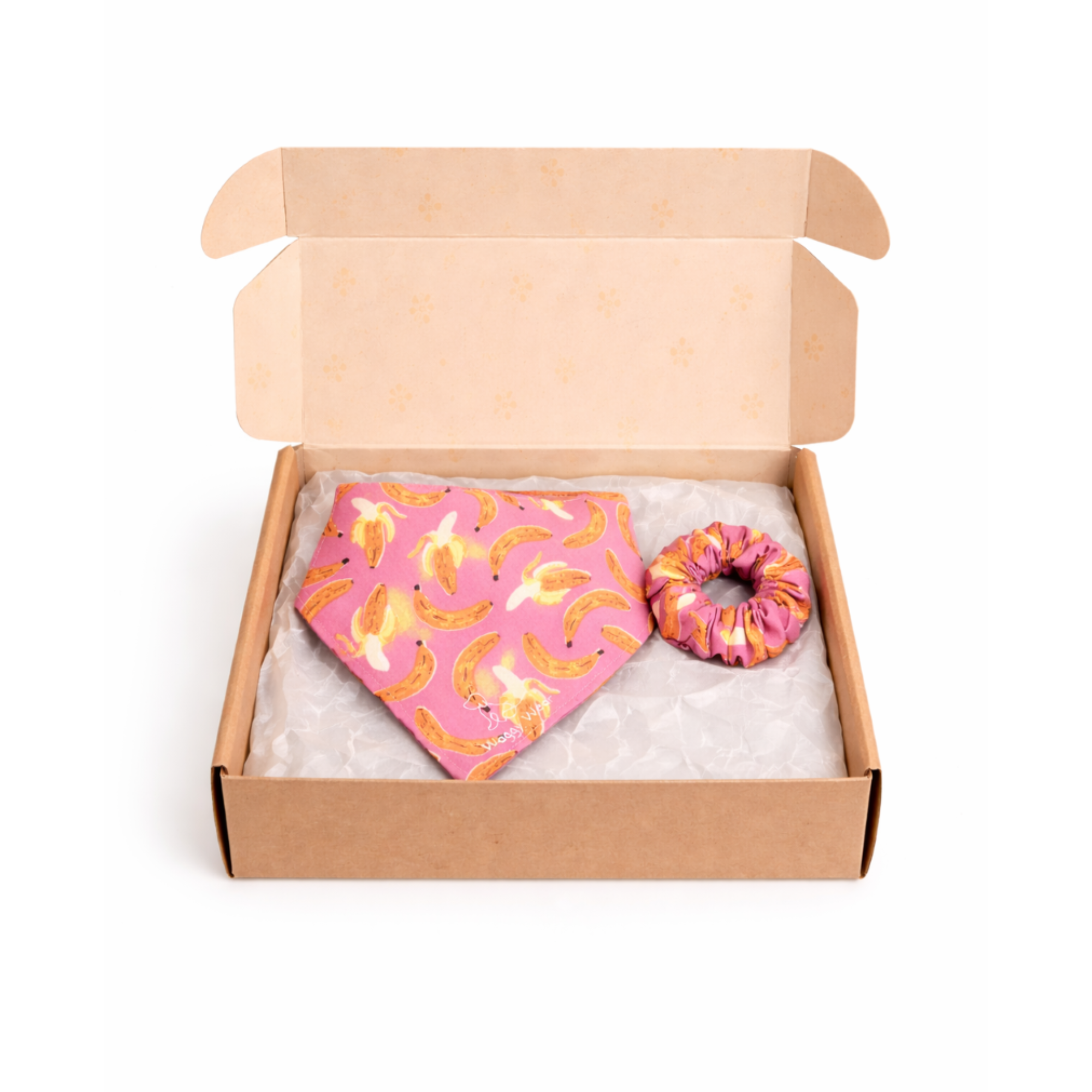 Best Dog Subscription Boxes for Stylish Dogs