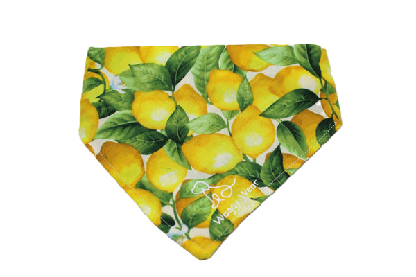 Fruit Stand Collection