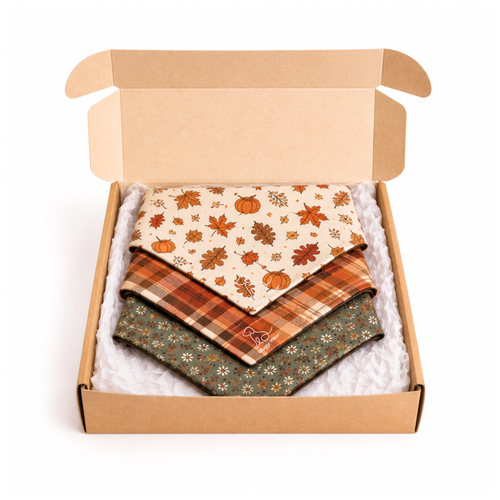 Waggy Wear Ultimate Bandana Box