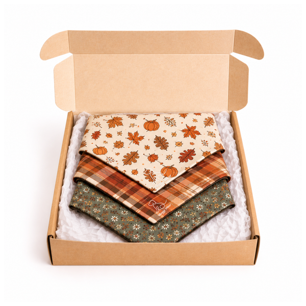 Waggy Wear Ultimate Bandana Box