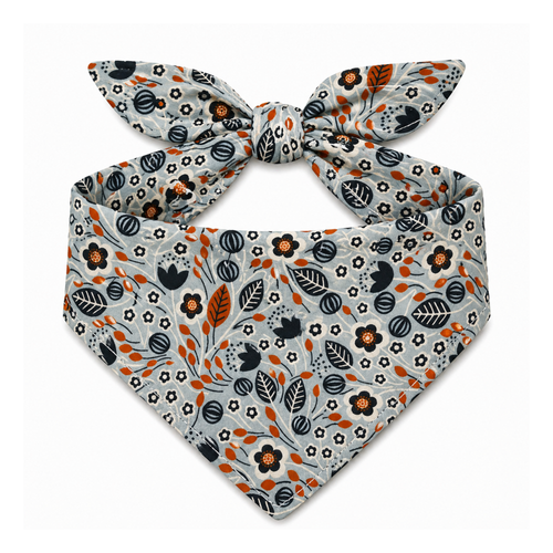 Waggy Wear Ultimate Bandana Box