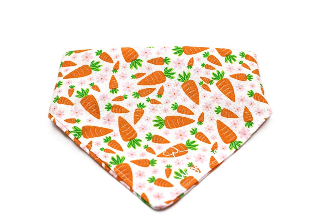 Carrot Cake – Tie-On Dog Bandana