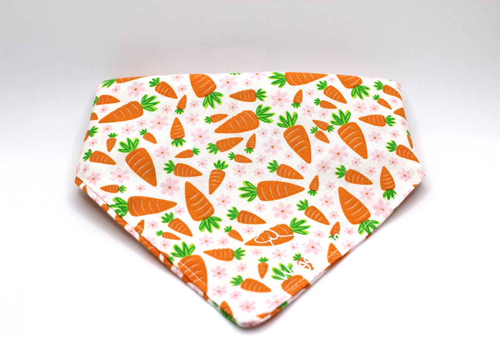 Carrot Cake – Tie-On Dog Bandana