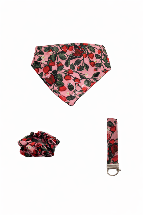 Waggy Wear Monthly Bundle Box