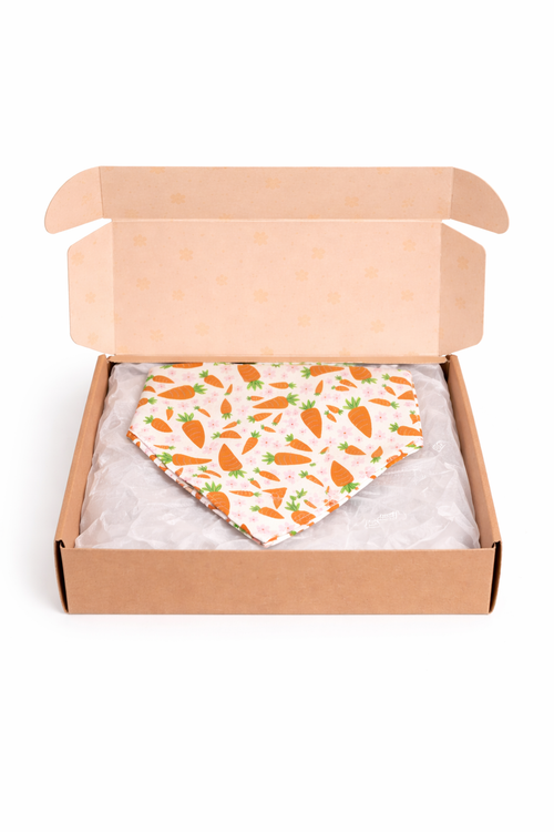 Waggy Wear Monthly Bandana Box