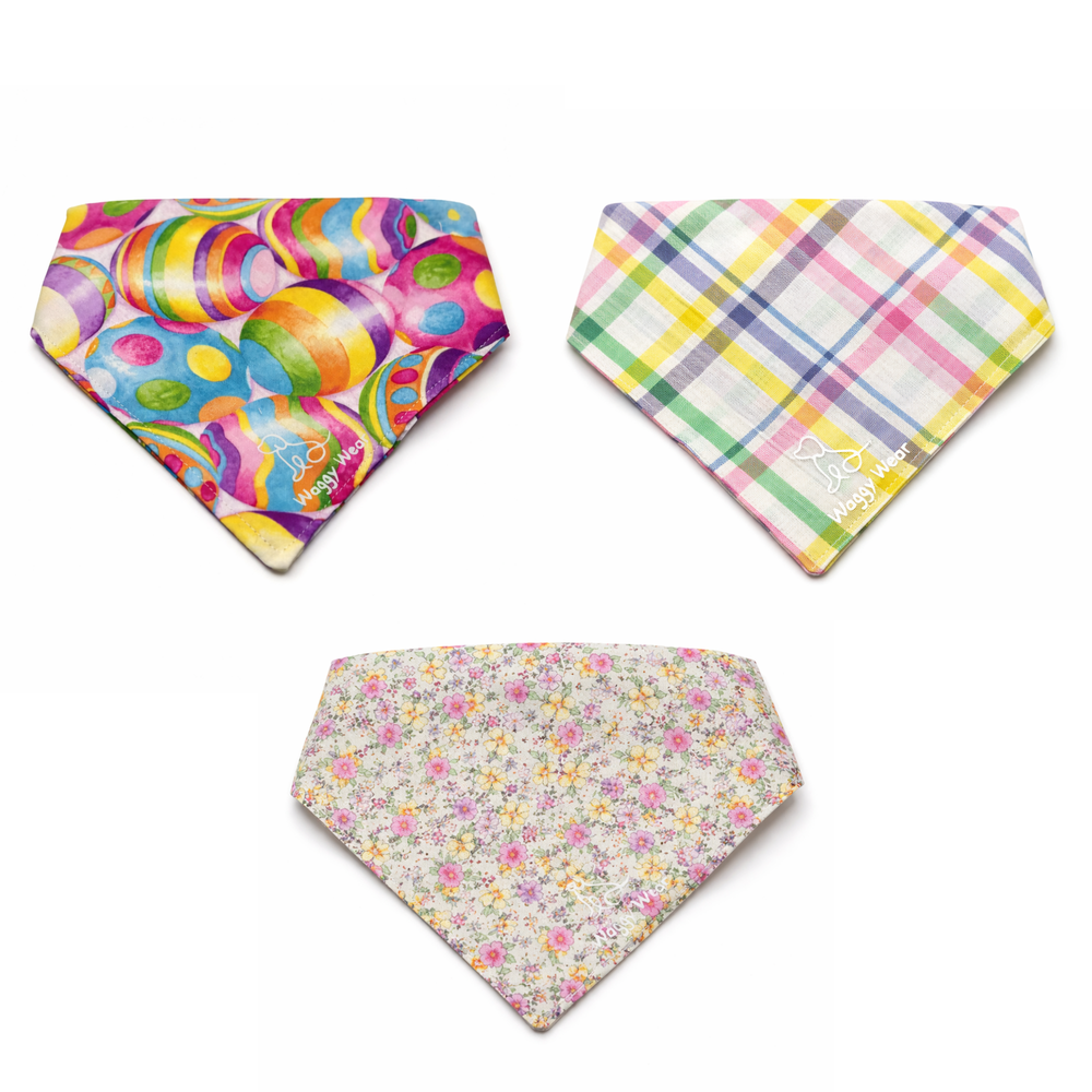 Easter Styles for You & Your Pup