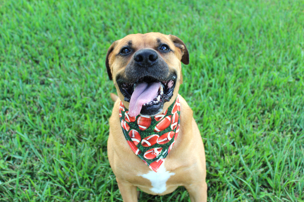 Game Day – Tie-On Dog Bandana