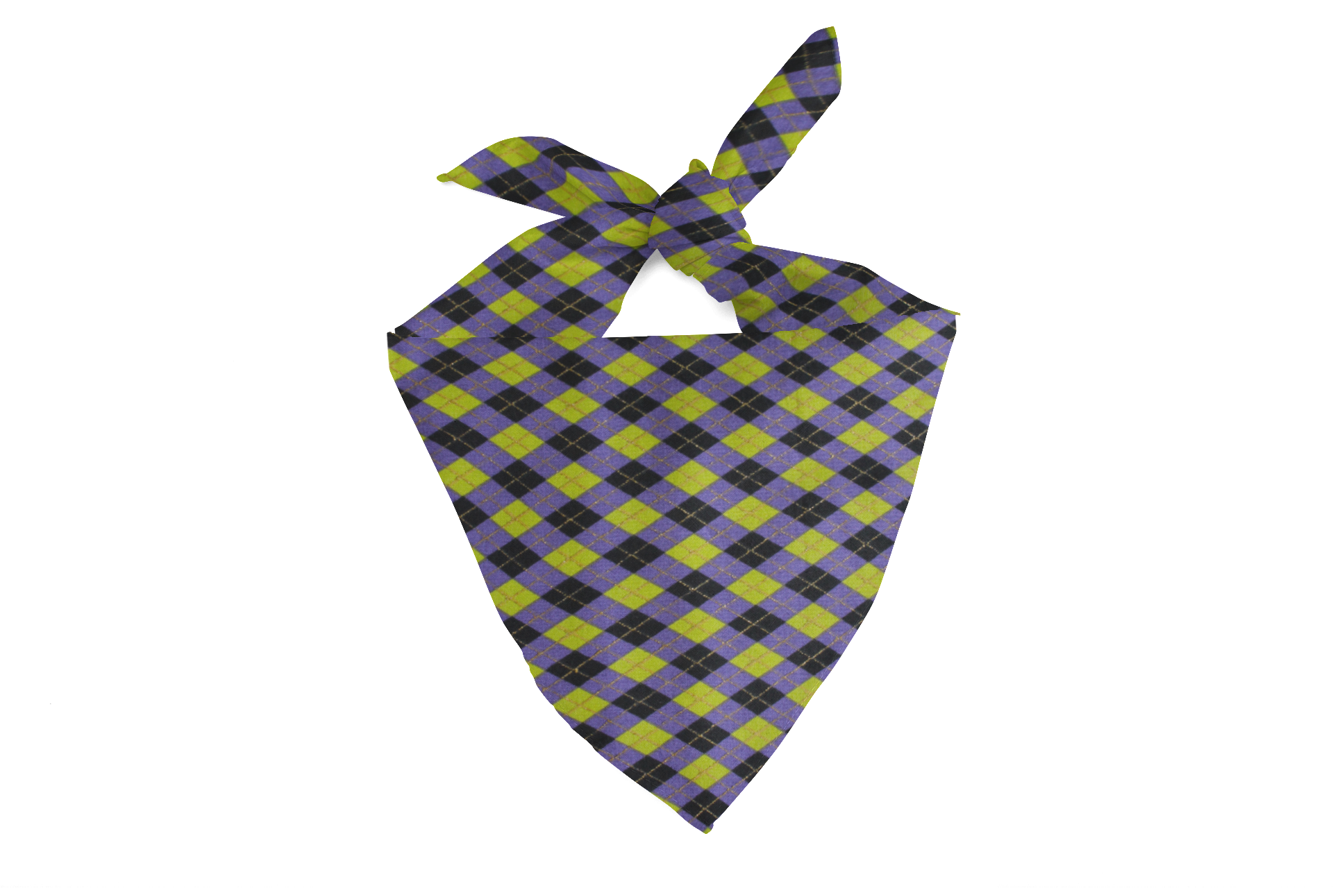 It’s Showtime – Fall Tie-On Dog Bandana