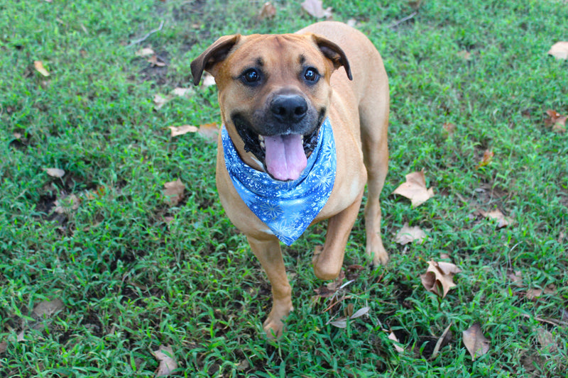 Winter Blizzard – Christmas Tie-On Dog Bandana
