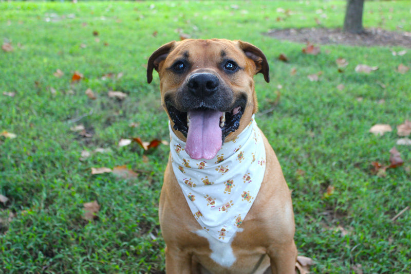 Mr. & Mrs. Ginger – Christmas Tie-On Dog Bandana