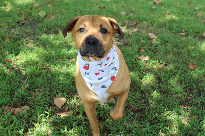 Holiday Cheer – Christmas Tie-On Dog Bandana