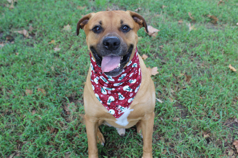 Mr. Snow – Christmas Tie-On Dog Bandana