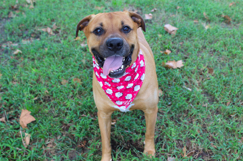 Ho-Ho-Ho – Christmas Tie-On Dog Bandana