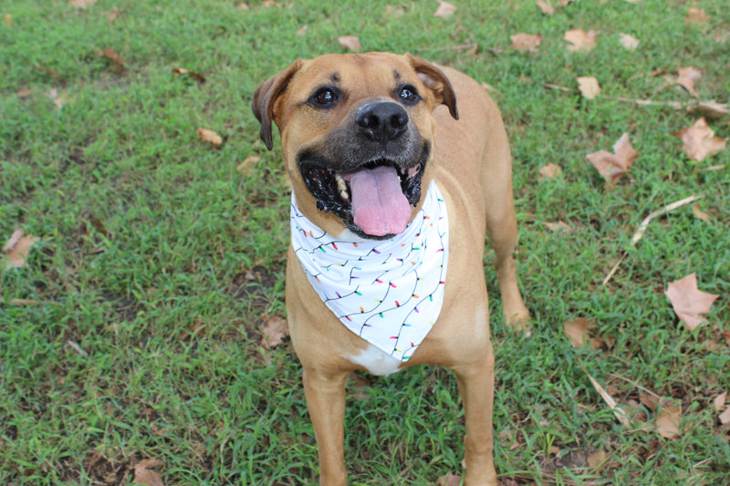 Colorful Christmas – Christmas Tie-On Dog Bandana