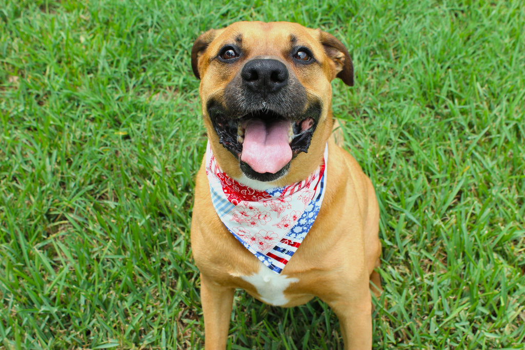 Patchwork – Summer Tie-On Dog Bandana