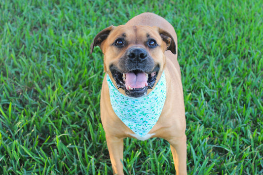 Leafy Breeze Bandana