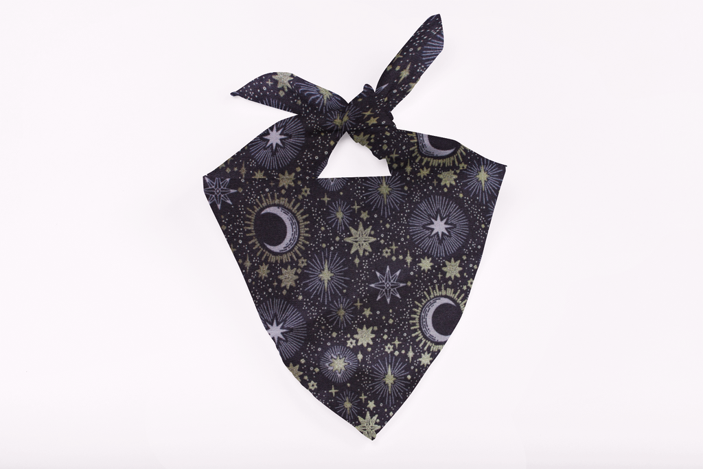 Moonlit Paws – Fall Tie-On Dog Bandana