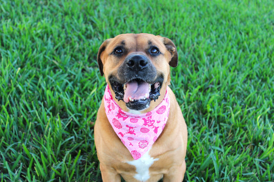 Pink Petals Bandana