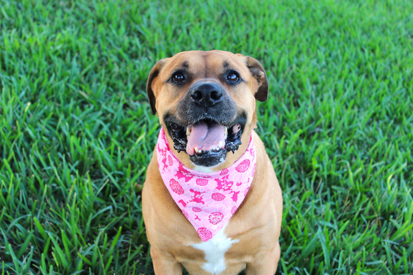 Pink Petals Scrunchie Bundle