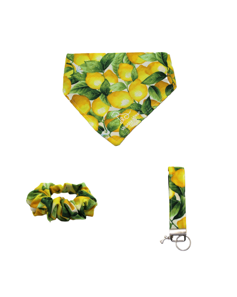 Zesty Pup Bundle