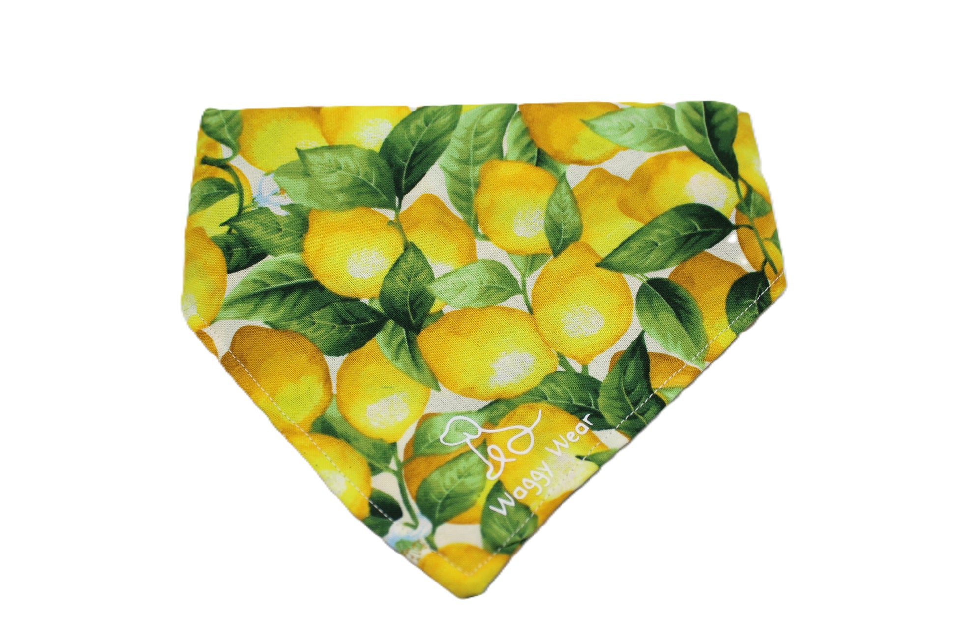 Zesty Pup Bundle