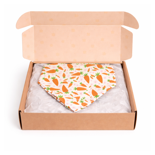 Waggy Wear Monthly Bandana Box