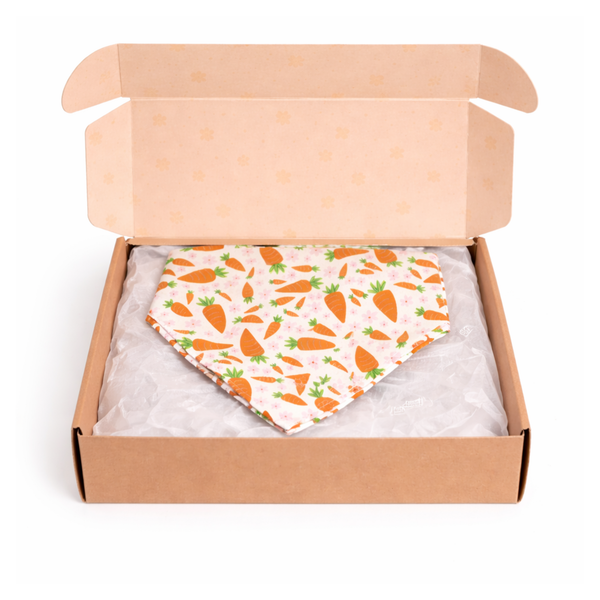 Waggy Wear Monthly Bandana Box