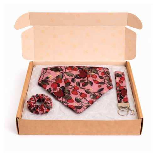 Waggy Wear Monthly Bundle Box