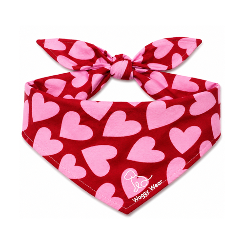 Love Bug – Tie-On Dog Bandana