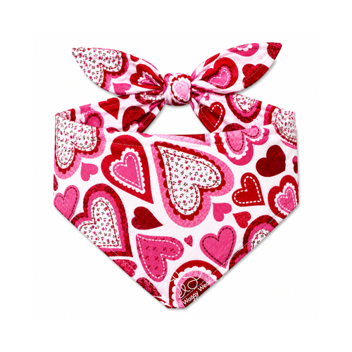 Love Struck – Tie-On Dog Bandana