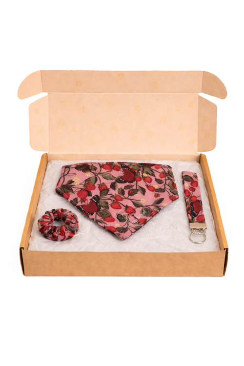 Waggy Wear Monthly Bundle Box