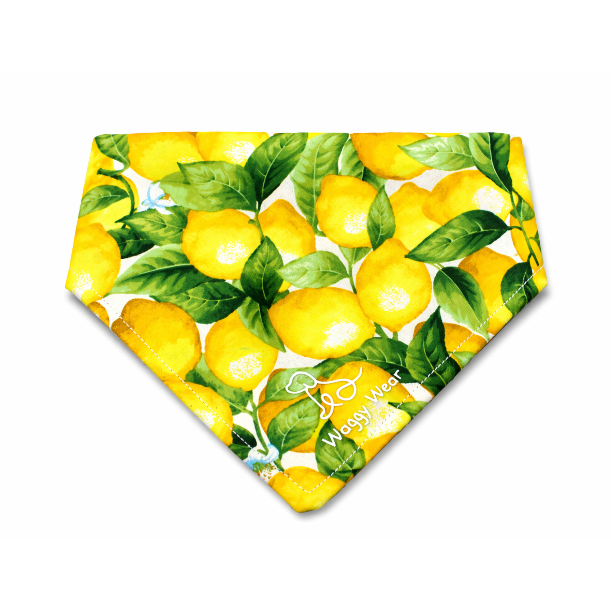 Zesty Pup – Tie-On Dog Bandana